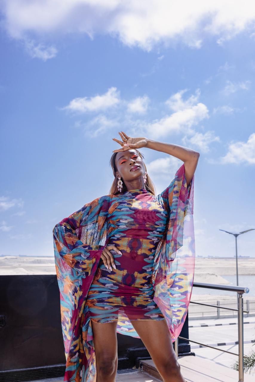 THE FLIGHT DRESS